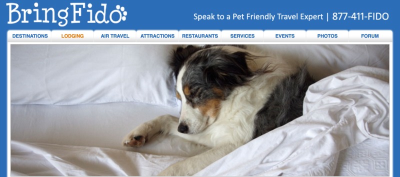 bringfido.com - niche travel marketing