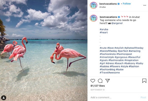 Screenshot of bestvacations' Instagram post showing a flamboyance of pink flamingos on a beach in Aruba