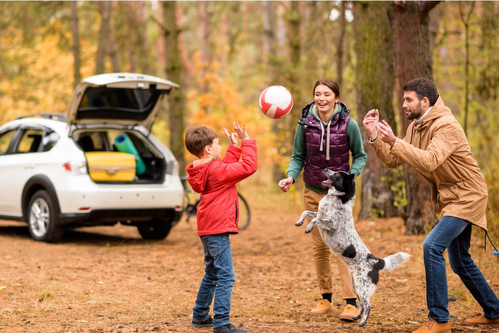 2021 vacation rental trends for the industry and your market 4 family-vacation-rentals-airbnb-vs-vrbo