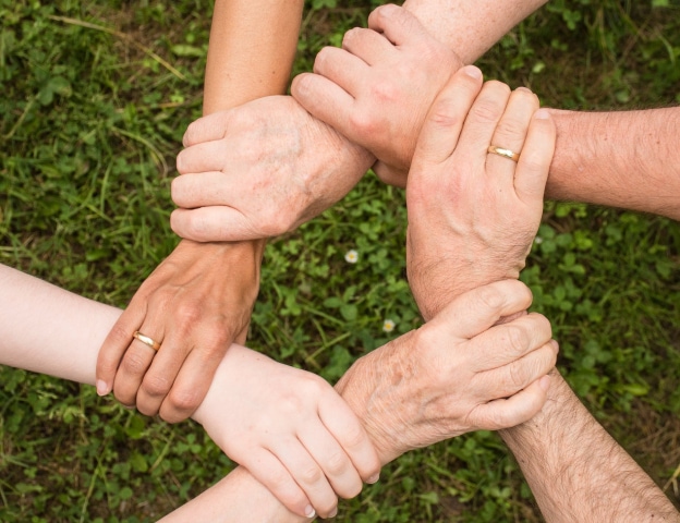 ground group growth hands 461049
