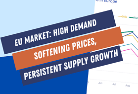 High Demand, Softening Prices, and the Looming Supply Challenge in Europe Short-Term Rental Market