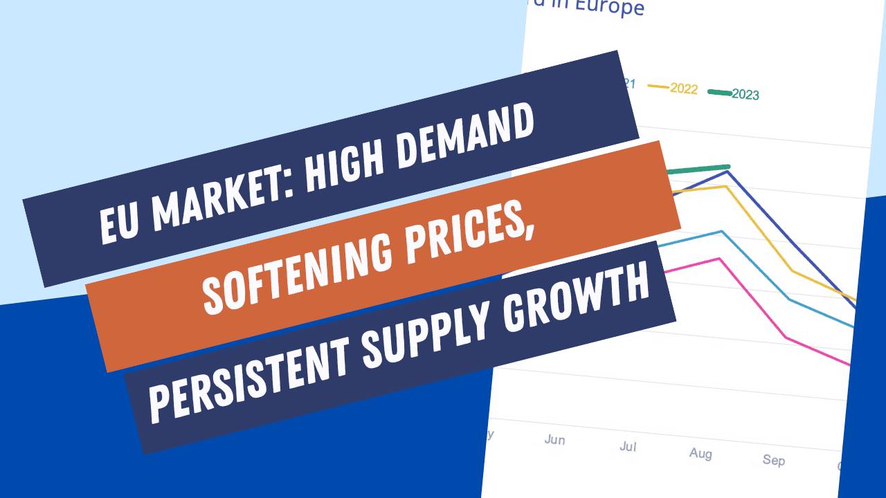 High Demand, Softening Prices, and the Looming Supply Challenge in Europe Short-Term Rental Market