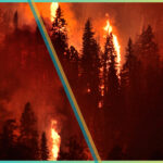 Illegal Price Gouging During LA Fires: Airbnb Implements Host Pricing Restrictions