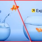 Bright comparison image of Vrbo and Expedia logos over fishbowls with goldfish, illustrating vacation rental booking platforms.